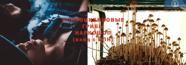2c-b Бородино
