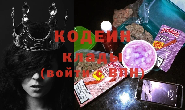 2c-b Бородино