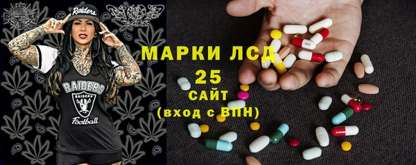 2c-b Бородино