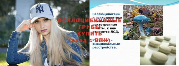 2c-b Бородино