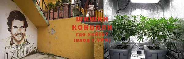 2c-b Бородино