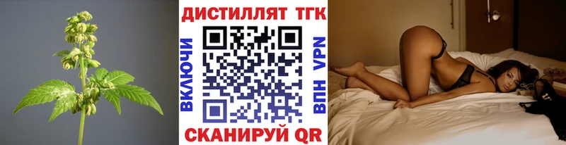 Купить  Староминская  ТГК Wax 
