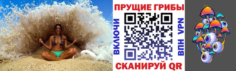 Псилоцибиновые грибы мухоморы  Купить закладки  Староминская 